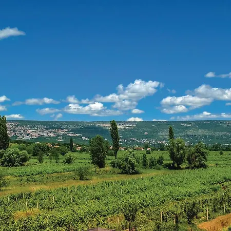 With Fireplace 10 * Grubine