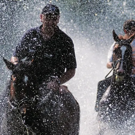 Vikendica With Fireplace 10