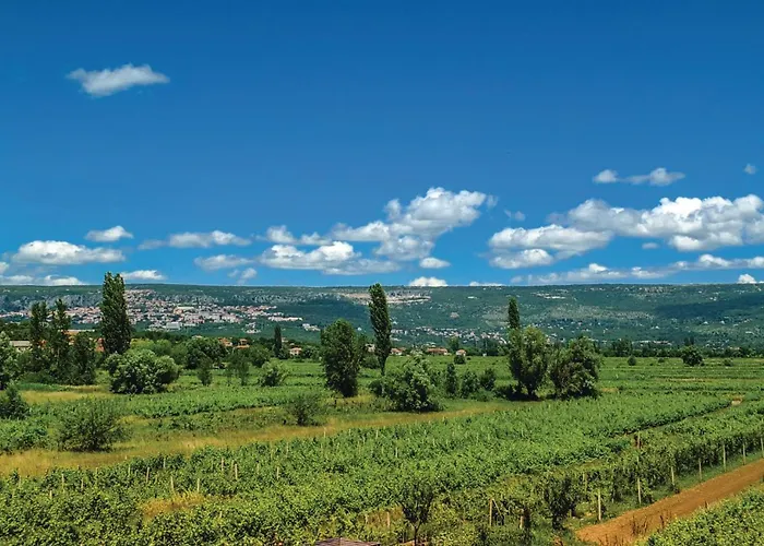 With Fireplace 10 * Grubine