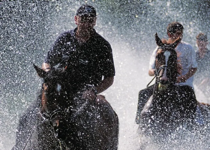 Tatil Evi With Fireplace 10